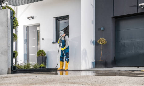 Best Solar Panel Cleaning  in Jacksonville, FL
