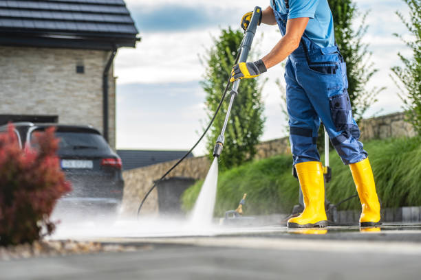 Animal Enclosure Cleaning in Jacksonville, FL